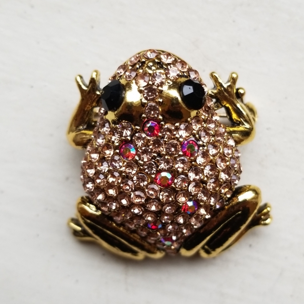 FROG BROOCH!